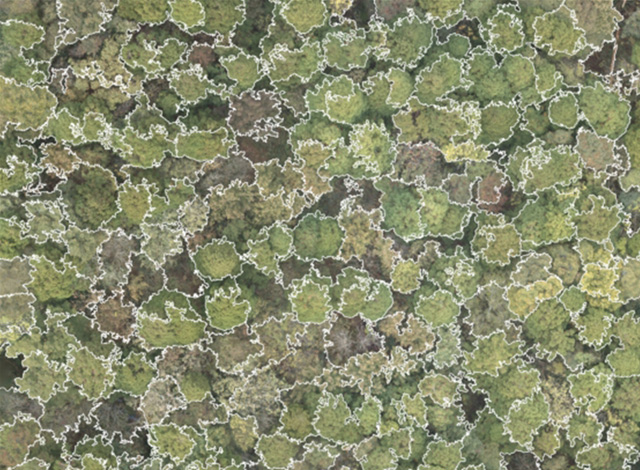 京都大学 伊勢武史 准教授