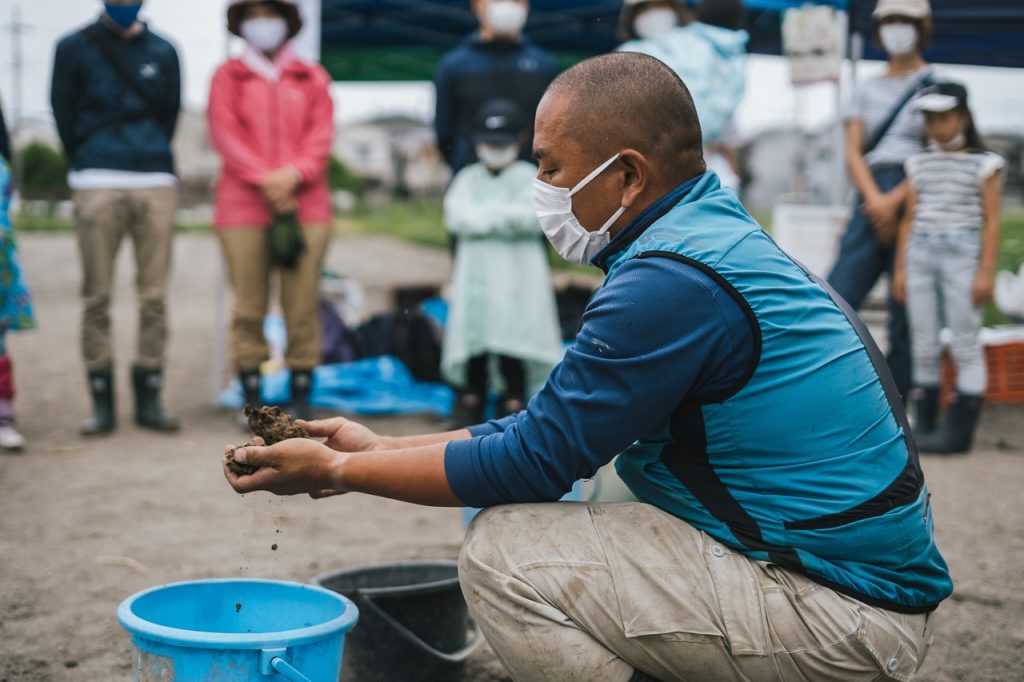 さつまいも栽培体験in伏見向島