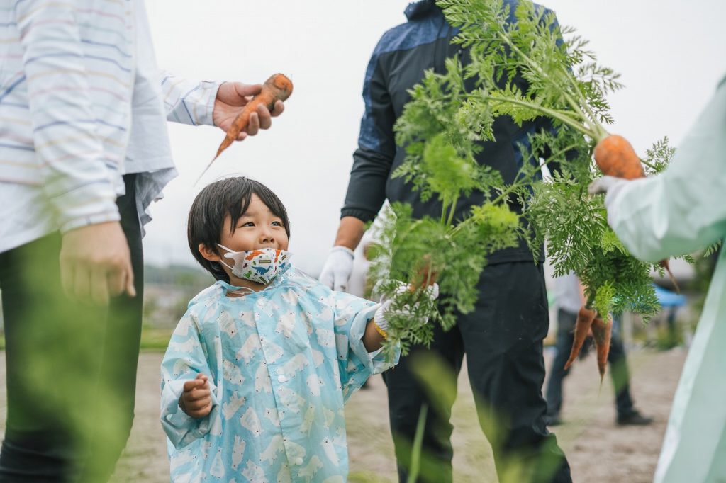 さつまいも栽培体験in伏見向島
