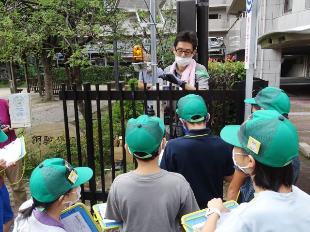 銅駝公園ソーラー安全灯設置の様子を見る御所東小学校5年生