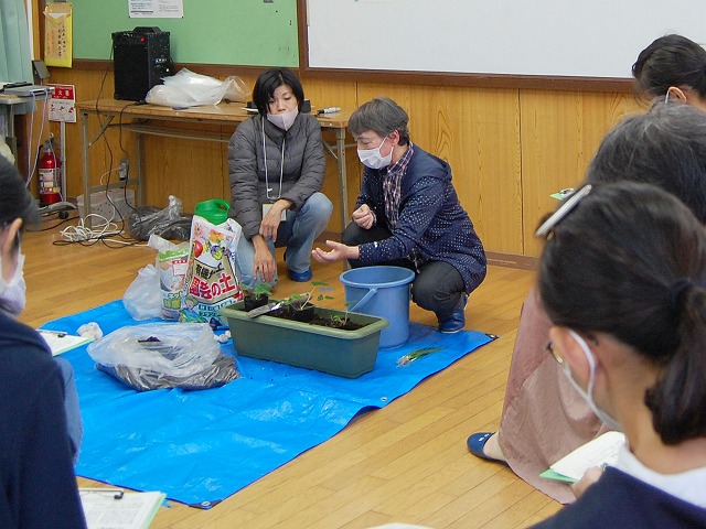 桃山小PTA家庭菜園学習会の様子