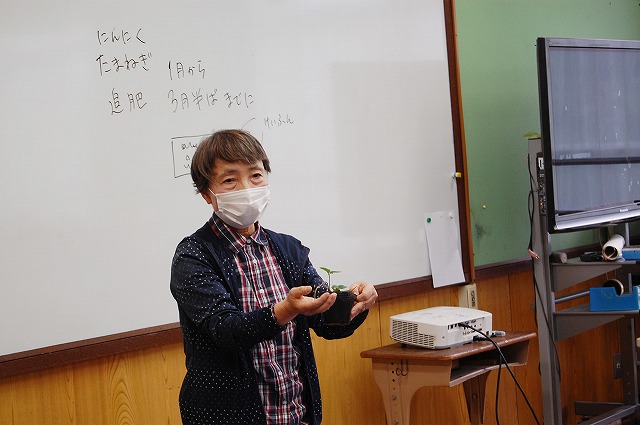 桃山小PTA家庭菜園学習会の様子
