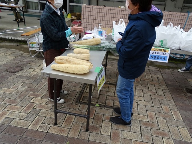 ヘチマたわしが売っている所