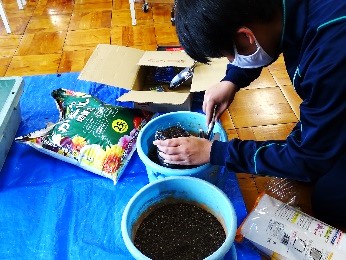 段ボールコンポスト