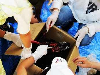 コンポスト作成