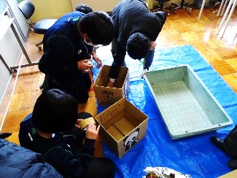 段ボールコンポスト