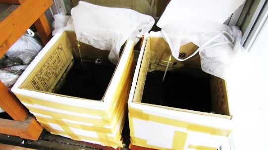 段ボールコンポスト