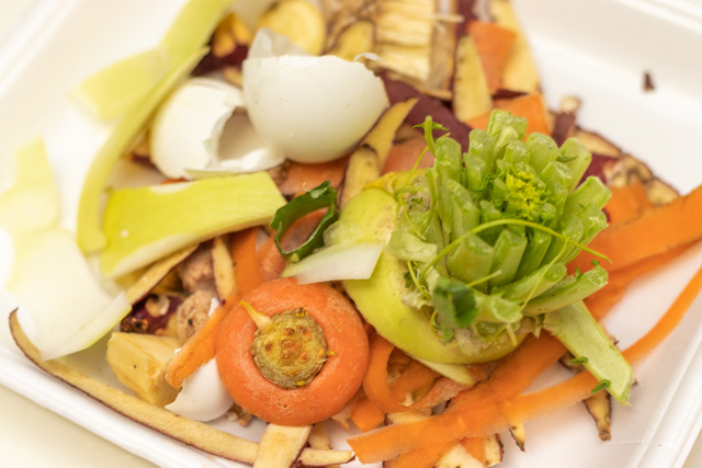 生ごみから美味しい野菜をつくるコンポスト