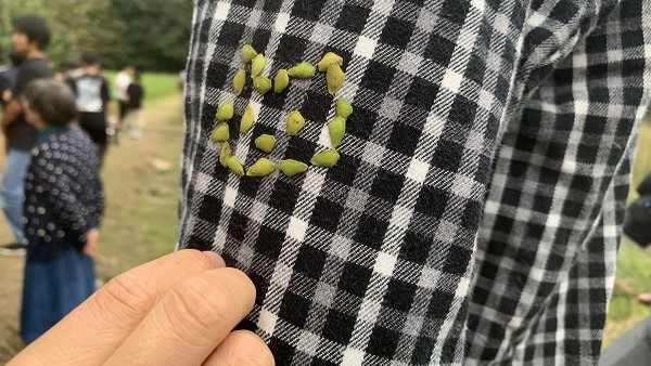 アレチヌスビトハギ