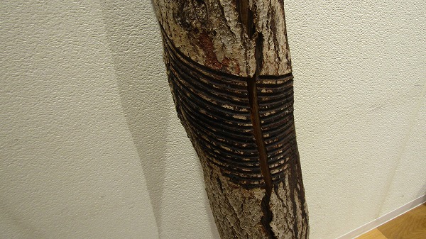 ふろしき研究会×堤淺吉漆店「日本の伝統はサステナブル 漆と風呂敷」