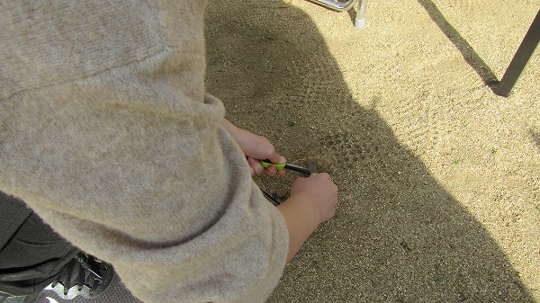 防災と食のマルシェ