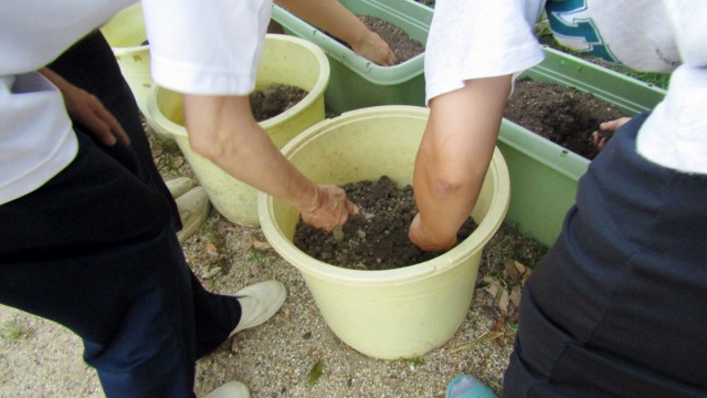 京都市南保育所×中嶋農園「子どもたちと一緒に菜園活動!」