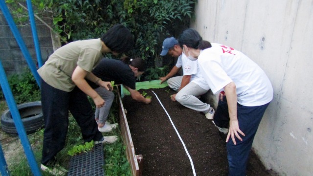 京都市南保育所×中嶋農園「子どもたちと一緒に菜園活動!」