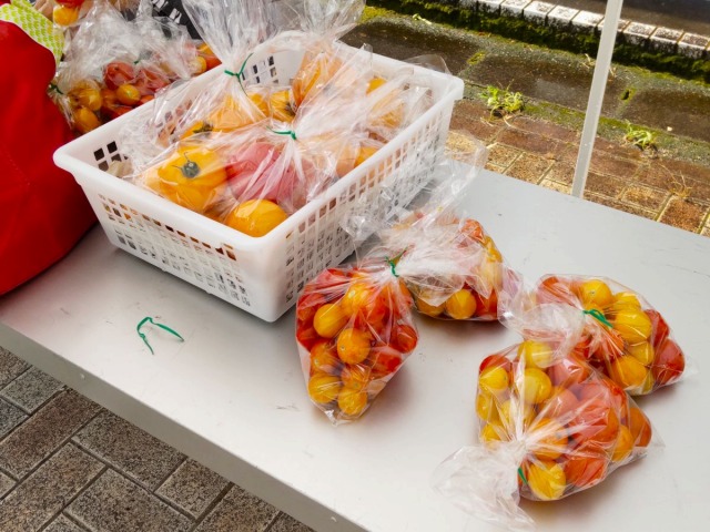 どこでもトーク 久我の杜学区