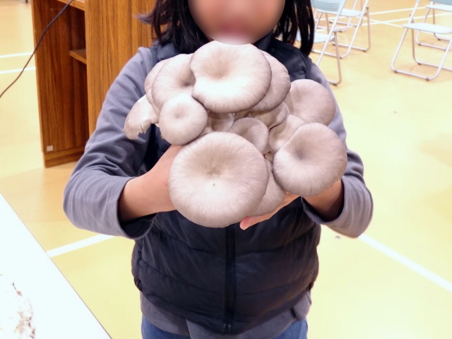 梅屋学区×RE:ARTH「コーヒーかすがキノコに変身?循環型栽培をめざして」