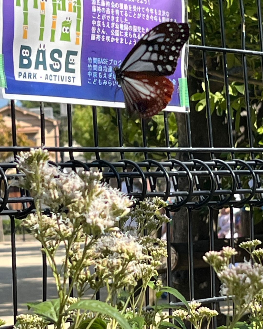 竹間学区のエコ活動