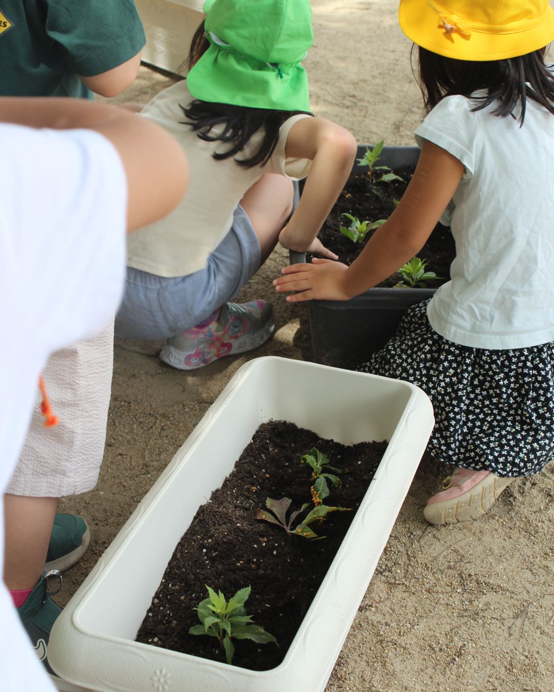 竹間学区のエコ活動