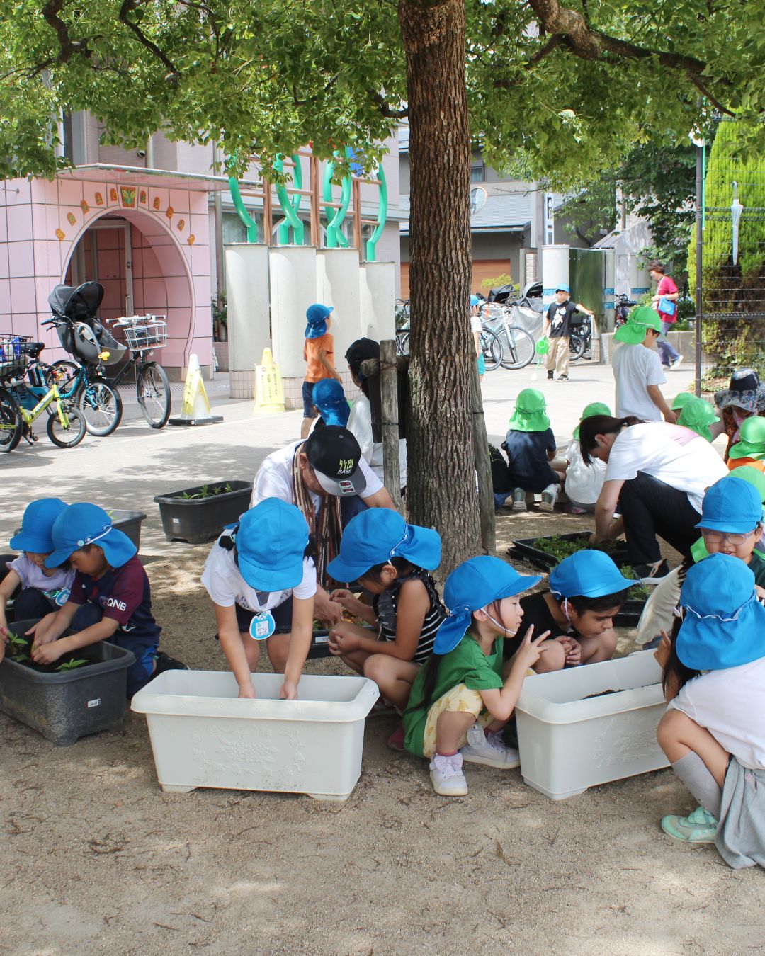 竹間学区のエコ活動