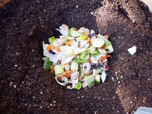 はじめてみよう！生ごみコンポスト