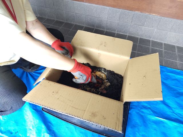 はじめてみよう！生ごみコンポスト